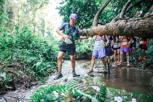 BIB: 
                            <button type="button" onclick="openModal(25468368)" class="btn btn-primary btn-sm float-right btn-popup" data-toggle="modal" data-target=".modal-high-quality">
                        <i class="fas fa-shopping-cart"></i> Add to Cart
                    </button>
                                            <button type="button" onclick="isThisMe(25468368, true)" class="btn btn-success btn-sm float-right btn-popup btn-isme hidden" data-toggle="tooltip" data-placement="bottom" title="นี่คือรูปของคุณใช่ไหม คลิกที่นี่เพื่อเอาเข้าอัลบั้ม">
                        <i class="fas fa-plus"></i> Add to album
                    </button>
                    <button type="button" onclick="isThisMe(25468368, false)" class="btn btn-warning btn-sm float-right btn-popup btn-isnotme hidden">
                        <i class="fas fa-ban"></i> Remove from album
                    </button>